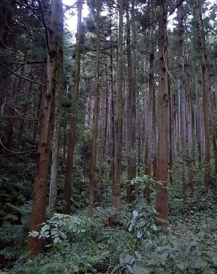 e0043700_22315527.jpg