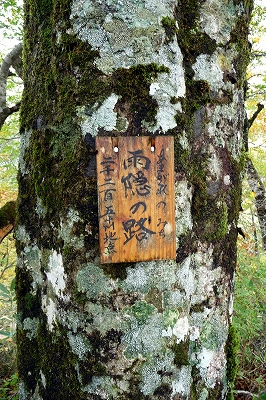 e0137200_16113594.jpg