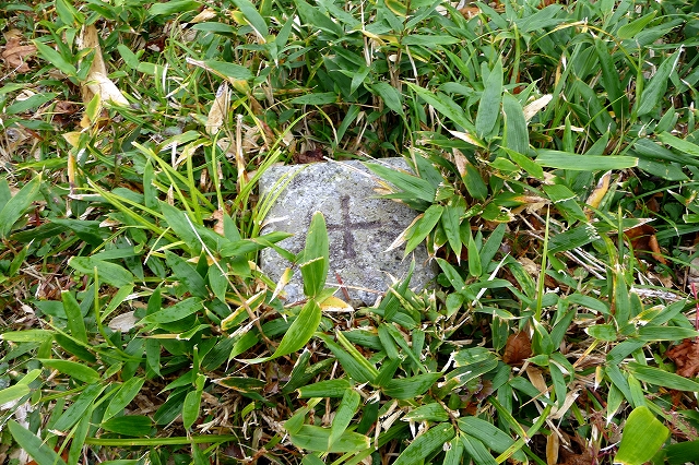 e0137200_1720085.jpg