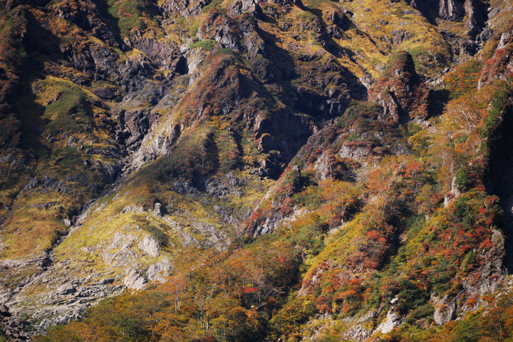 f0178900_19222650.jpg