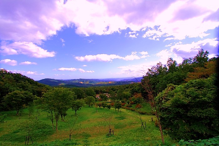 e0117503_1412021.jpg