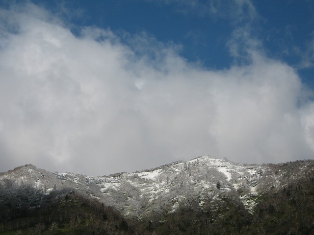 f0202703_11243565.jpg