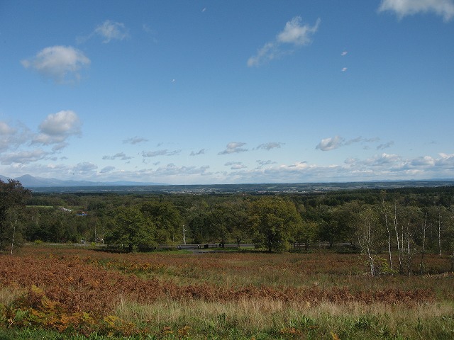f0202703_11441713.jpg