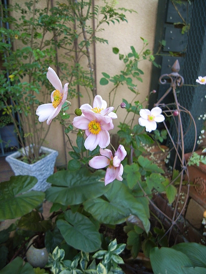 f0065604_22192437.jpg