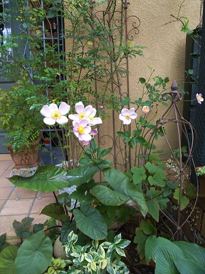 f0065604_22193886.jpg