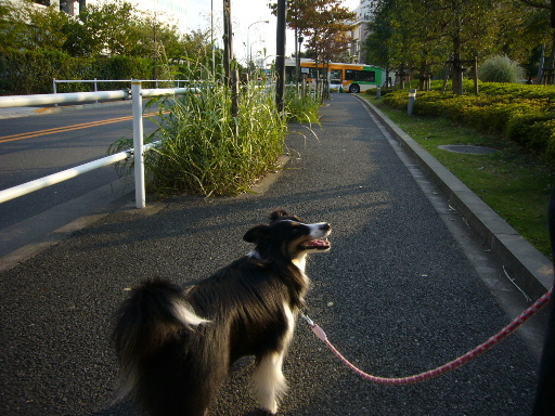 e0130008_21524357.jpg