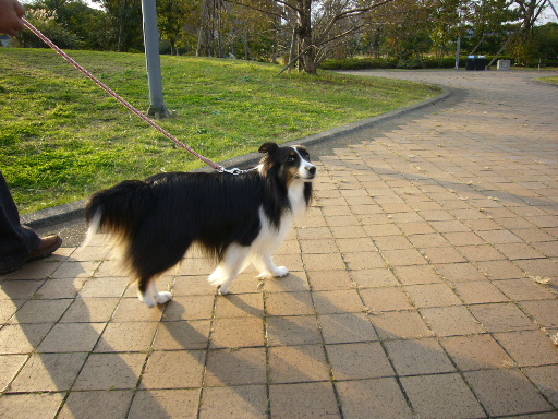 e0130008_21562545.jpg