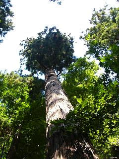 b0023911_2082066.jpg