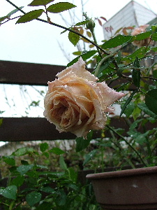 c0212214_22361652.jpg
