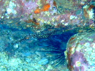 f0142717_22382799.jpg