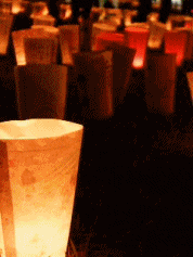 e0136420_21293581.gif