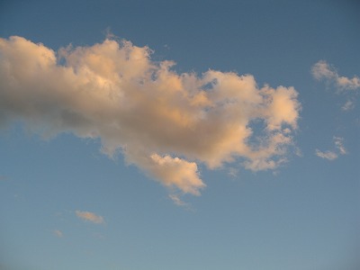 a0111621_10243912.jpg