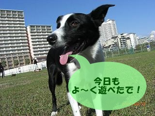 e0179321_18315631.jpg