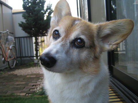 a0037322_13382845.jpg