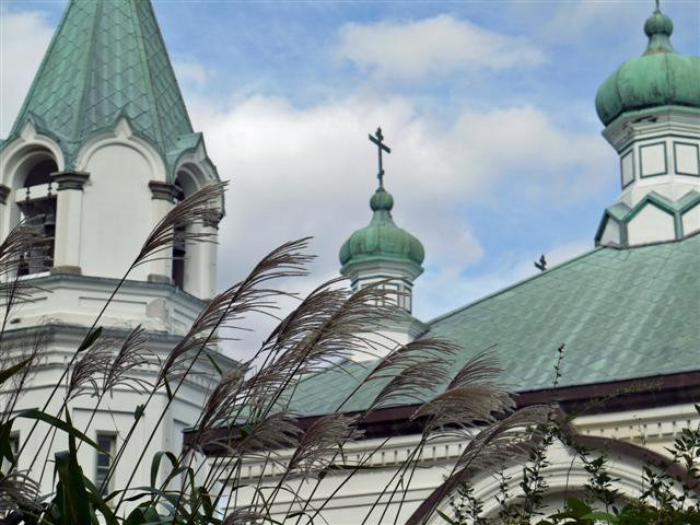 b0171523_21164348.jpg