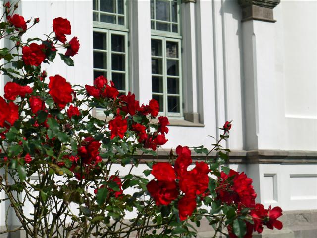 b0171523_21183513.jpg