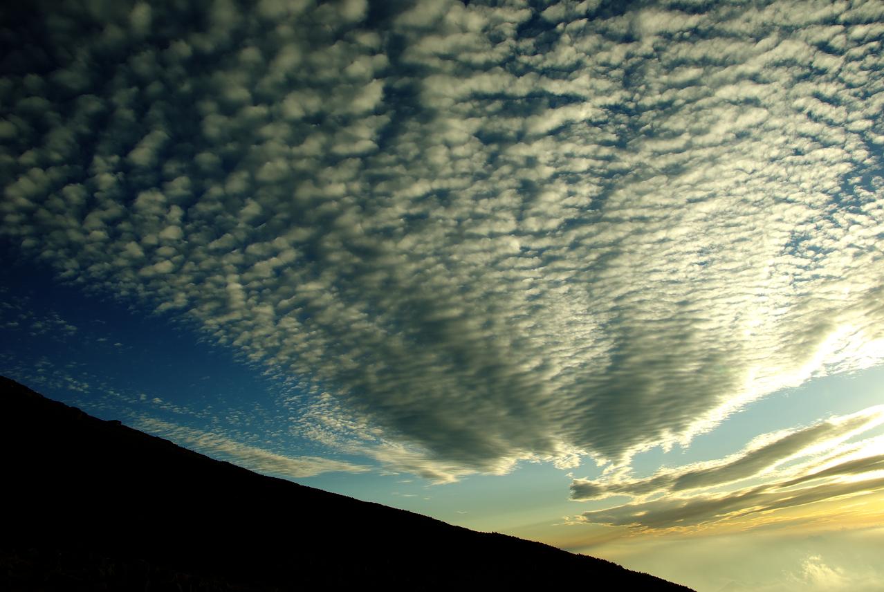 b0062024_1201169.jpg