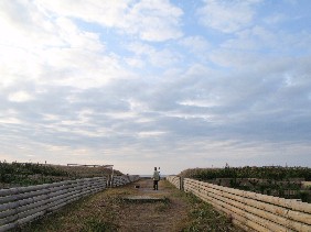 f0022024_17185117.jpg