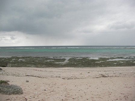 e0146325_12285466.jpg