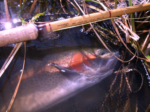 c0202727_23353218.jpg