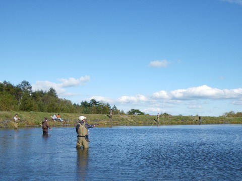 c0202727_23591749.jpg