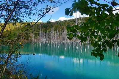c0123031_4534190.jpg