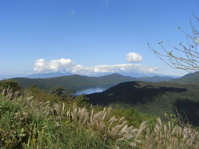 e0107031_2244519.jpg