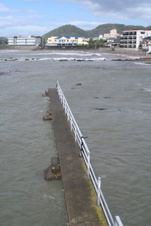 b0110633_10195975.jpg