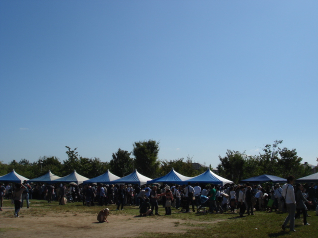 c0100534_2161254.jpg