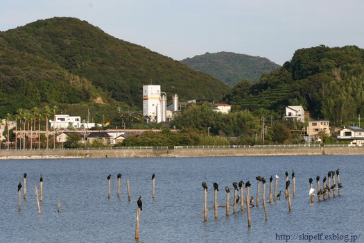 c0134734_2375099.jpg
