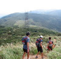 d0033734_151649.jpg