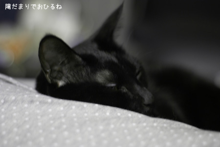 c0132438_1672827.jpg