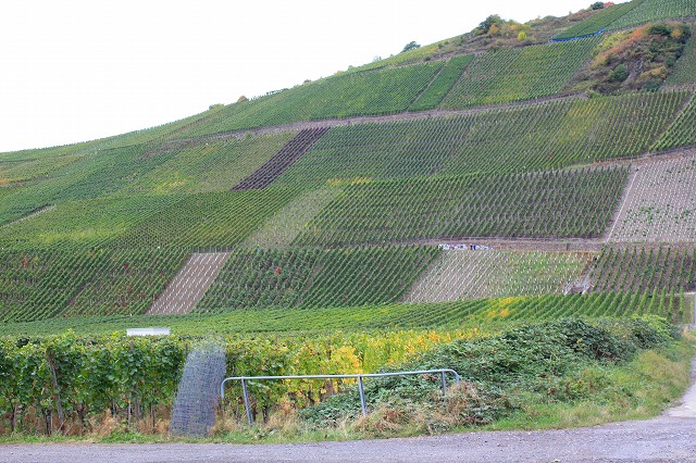 c0153740_248397.jpg