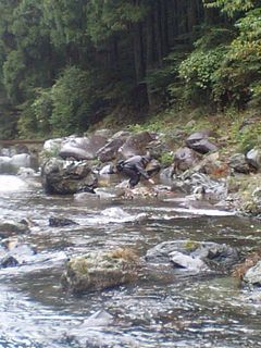 f0065341_6394899.jpg