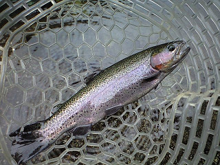 f0065341_650382.jpg