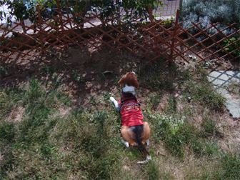 c0086746_18325289.jpg
