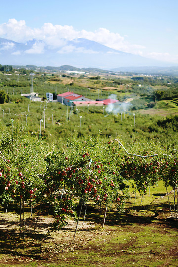d0008146_1373390.jpg