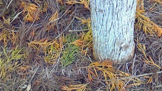 e0158348_12215650.jpg