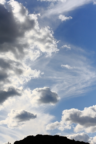 a0024250_2532334.jpg
