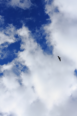 a0024250_254176.jpg