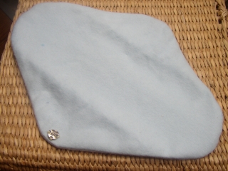 a0068350_1542998.jpg