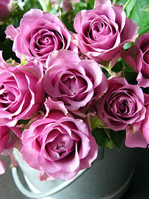 a0074650_2344473.jpg