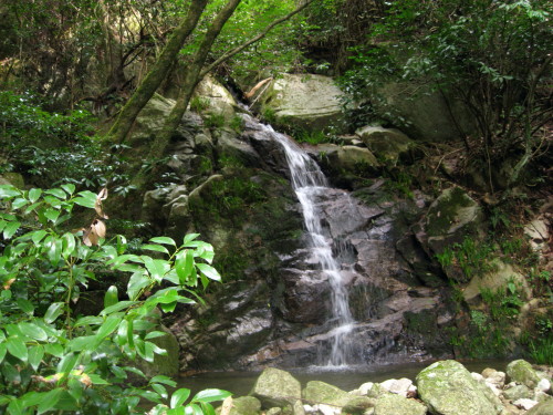 c0179351_971947.jpg
