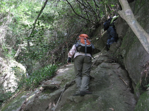 c0179351_974166.jpg