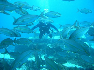 d0076952_1449015.jpg