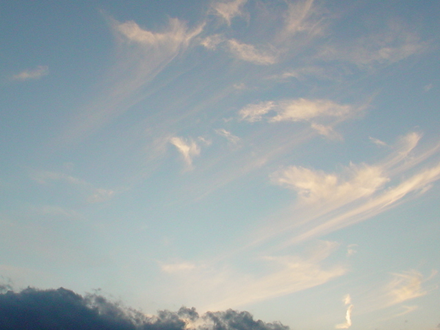 f0151052_1612369.jpg