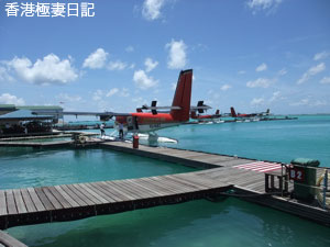 f0190653_915218.jpg