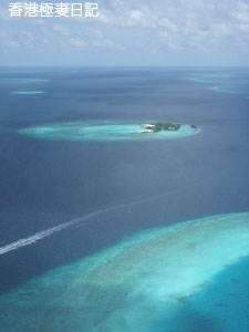 f0190653_9161476.jpg