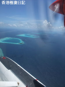 f0190653_9163671.jpg
