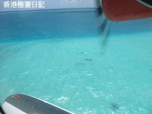 f0190653_9172762.jpg